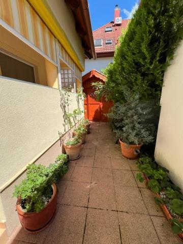 Sofi Appartment Hévíz Exterior foto